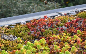 the cost of Strangford green roof installation