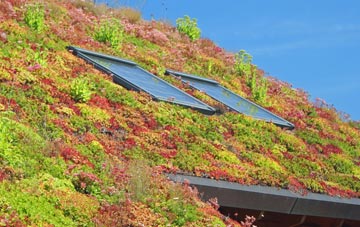 Strangford living roof systems
