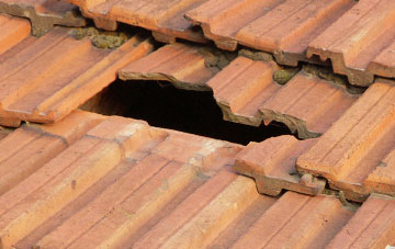 roof repair Strangford