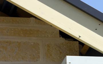 soffit repair Strangford
