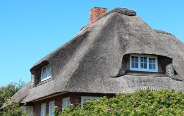 thatch roofing Strangford